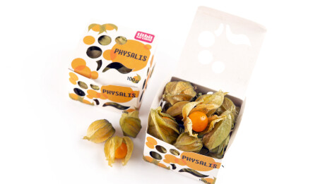 titbit_physalis-krabička