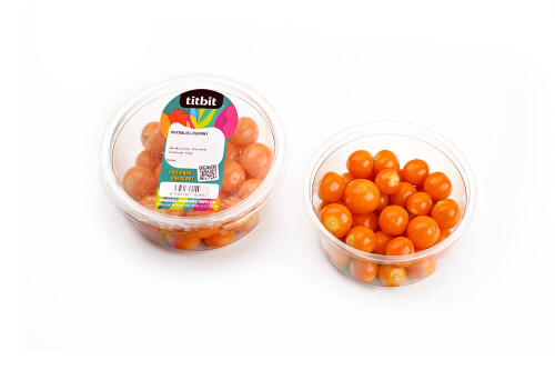 titbit_physalis-loupany