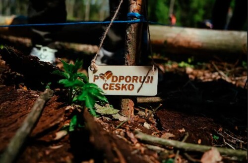 Podporuji Česko