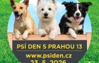 Psí den s Prahou 13 slaví 10 let: čeká vás show, soutěže i charita