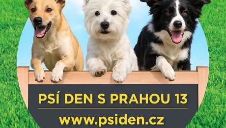 Psí_den_s_Prahou_13