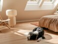 image Velux