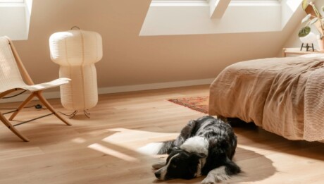 image Velux