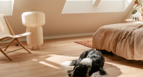 image Velux