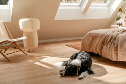 image Velux